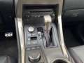 Lexus NX 300h AWD F Sport Line ACC | Camera | Stoelverw. Gris - thumbnail 18