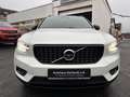 Volvo XC40 D4 AWD R Design 20'',AHK,Alcantara,Pano,ACC Weiß - thumbnail 2