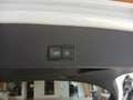 Audi Q2 Sport 1.0 TFSI Navi KeylessGo Bluetooth DAB Weiß - thumbnail 16