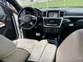 Mercedes-Benz ML 350 ML-350 CDI AMG Designo Leder/Navi+DVD/EURO6 Biały - thumbnail 6