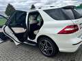 Mercedes-Benz ML 350 ML-350 CDI AMG Designo Leder/Navi+DVD/EURO6 Weiß - thumbnail 19