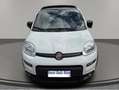 Fiat Panda Panda III 2021 1.0 firefly hybrid Sport s Weiß - thumbnail 11