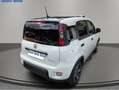 Fiat Panda Panda III 2021 1.0 firefly hybrid Sport s Weiß - thumbnail 5