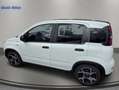 Fiat Panda Panda III 2021 1.0 firefly hybrid Sport s Weiß - thumbnail 4