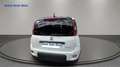 Fiat Panda Panda III 2021 1.0 firefly hybrid Sport s Weiß - thumbnail 6