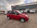 Fiat Panda 1.0 70CH BSG S\u0026S Rouge - thumbnail 7