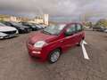Fiat Panda 1.0 70CH BSG S\u0026S Rouge - thumbnail 3