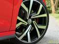 Volkswagen Polo GTI 2.0 TSI / Pano / Full Options Rood - thumbnail 13