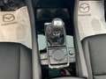Mazda 3 Mazda 3 2.5 m-hybrid Homura 140cv DA IMMATRICOLARE Grigio - thumbnail 14