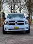 Dodge RAM 1500 Blanco - thumbnail 2