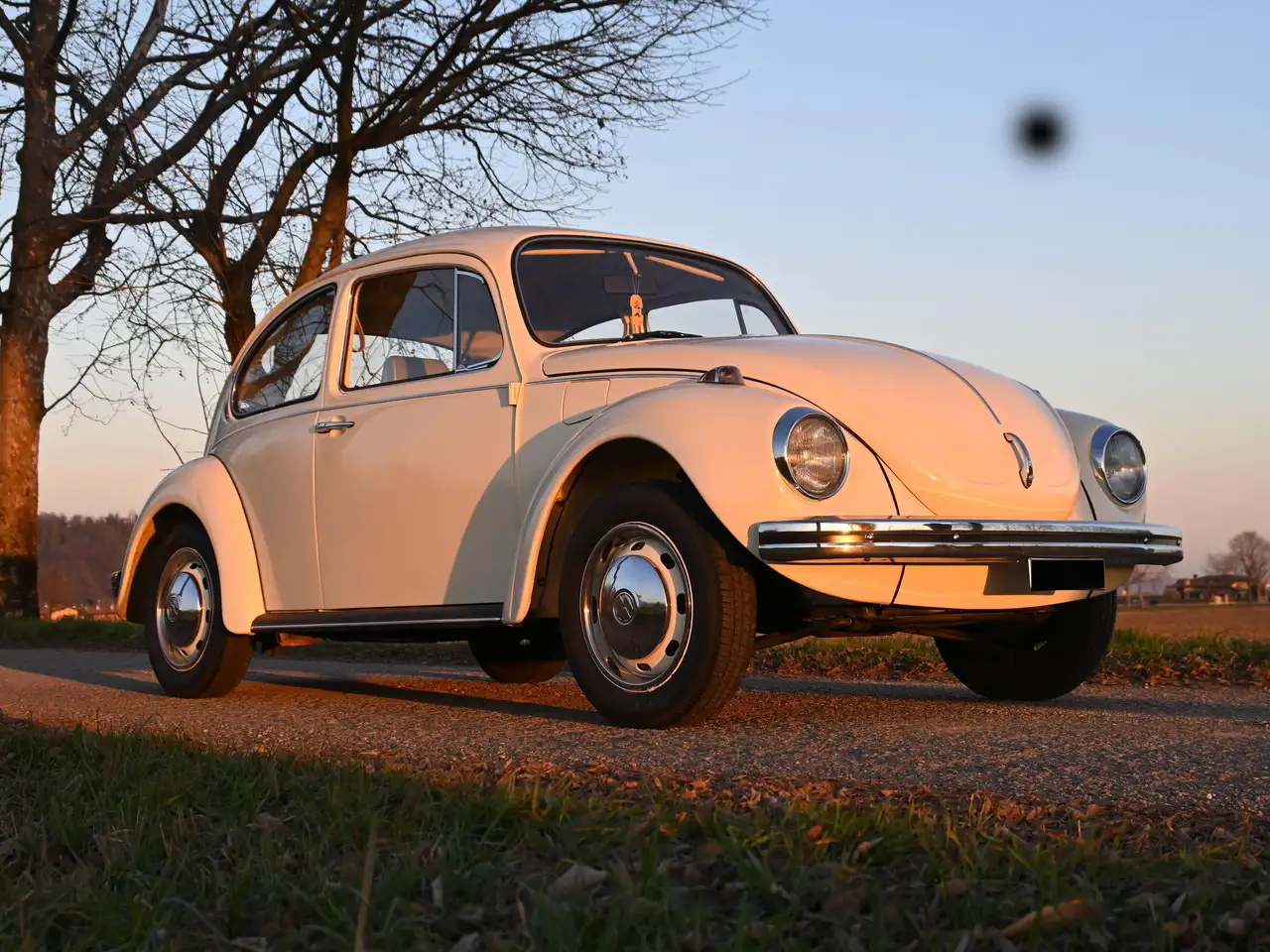 Volkswagen Beetle Beetle 1971