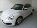 Volkswagen Maggiolino 1.6 tdi Design 105cv Bianco - thumbnail 3