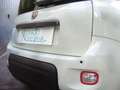 Fiat Panda 1.0 FireFly S&S Hybrid 5°Posto Pack City Km0 Bianco - thumbnail 9