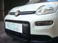 Fiat Panda 1.0 FireFly S&S Hybrid 5°Posto Pack City Km0 Bianco - thumbnail 3