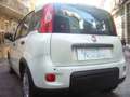 Fiat Panda 1.0 FireFly S&S Hybrid 5°Posto Pack City Km0 Bianco - thumbnail 11
