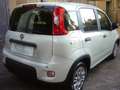 Fiat Panda 1.0 FireFly S&S Hybrid 5°Posto Pack City Km0 Bianco - thumbnail 7