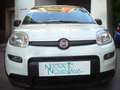 Fiat Panda 1.0 FireFly S&S Hybrid 5°Posto Pack City Km0 Bianco - thumbnail 6