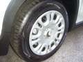 Fiat Panda 1.0 FireFly S&S Hybrid 5°Posto Pack City Km0 Bianco - thumbnail 4