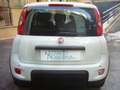 Fiat Panda 1.0 FireFly S&S Hybrid 5°Posto Pack City Km0 Bianco - thumbnail 10