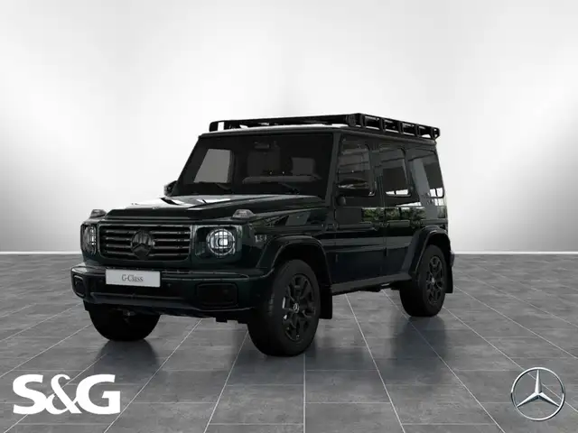 Mercedes-Benz G 450 d Professional+RüKam+AHK+Standhzg+Gepäcktr