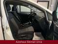 Volkswagen Golf VII Variant Trendline 1,6TDI/Navi/Tüv-Neu Blanc - thumbnail 11