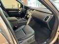 Land Rover Discovery D300 Dynamic SE 7-SITZE AHK WKP PANO Bronzo - thumbnail 11