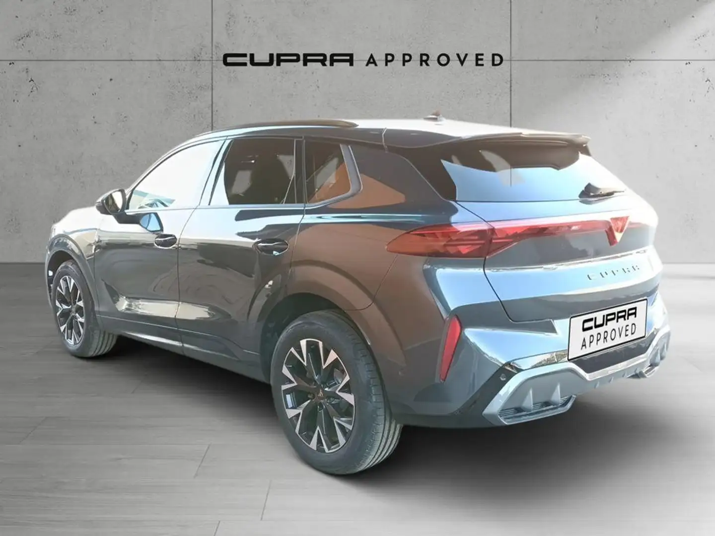 CUPRA Terramar 1.5 eTSI 110 DSG Gris - 2