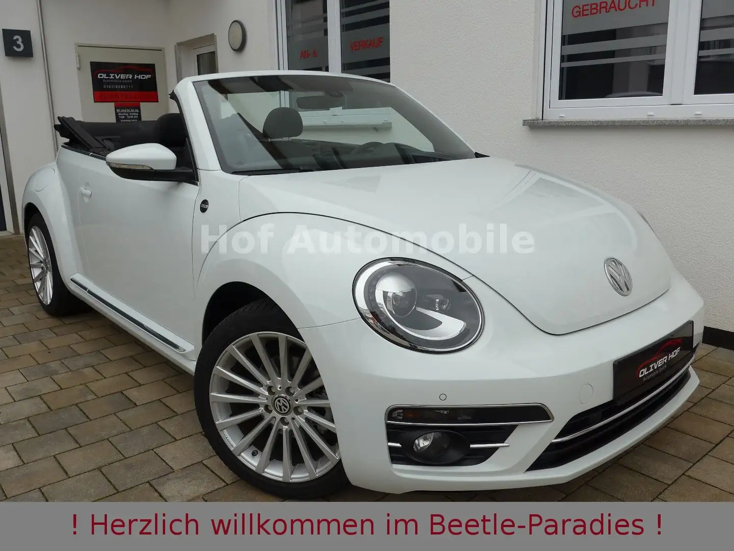 Volkswagen Beetle 1.2TSI DSG Sound Plus Fender AppCon. Weiß - 1