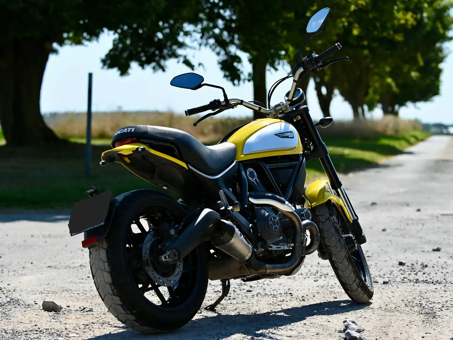 Ducati Scrambler Icon 800 Jaune - 2