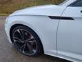 Audi A5 A5 Sportback 40 TFSI Quattro Competition S tronic Blanc - thumbnail 4
