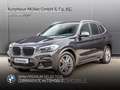 BMW X3 xDrive30e M Sportpaket HUD DrivingAssist Grau - thumbnail 1