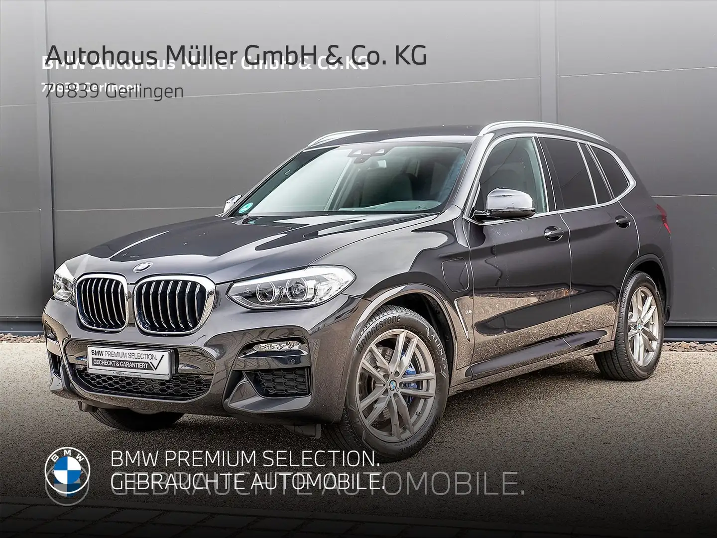 BMW X3 xDrive30e M Sportpaket HUD DrivingAssist Grau - 1