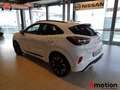 Ford Puma 1.0 ECOBOOST 92KW MHEV ST-LINE X 125 5P Blanc - thumbnail 8