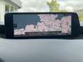 Mazda 3 2.5L (140 PS) Homura|Head-Up|ACC|Keyless Blau - thumbnail 7