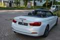 BMW 420 Baureihe 4 Cabrio 420 i Luxury Line Weiß - thumbnail 5