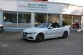 BMW 420 Baureihe 4 Cabrio 420 i Luxury Line Weiß - thumbnail 1