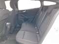 Ford Focus ST-Line Weiß - thumbnail 17