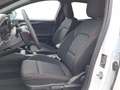 Ford Focus ST-Line Weiß - thumbnail 16