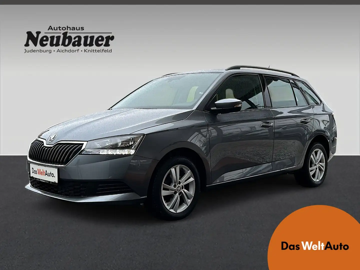 Skoda Fabia Ambition TSI Gris - 1