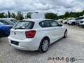 BMW 114 i  NAVI LEDER EXPORT/HÄNDLER Blanco - thumbnail 7