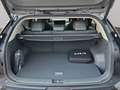 Kia EV3 Earth 81kW WiCon Busi Upgrade Grau - thumbnail 13