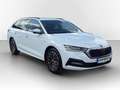 Skoda Octavia Combi 2.0 TDI DSG 4x4 Ambition AHK*VIRTUAL*NAV*... Weiß - thumbnail 3