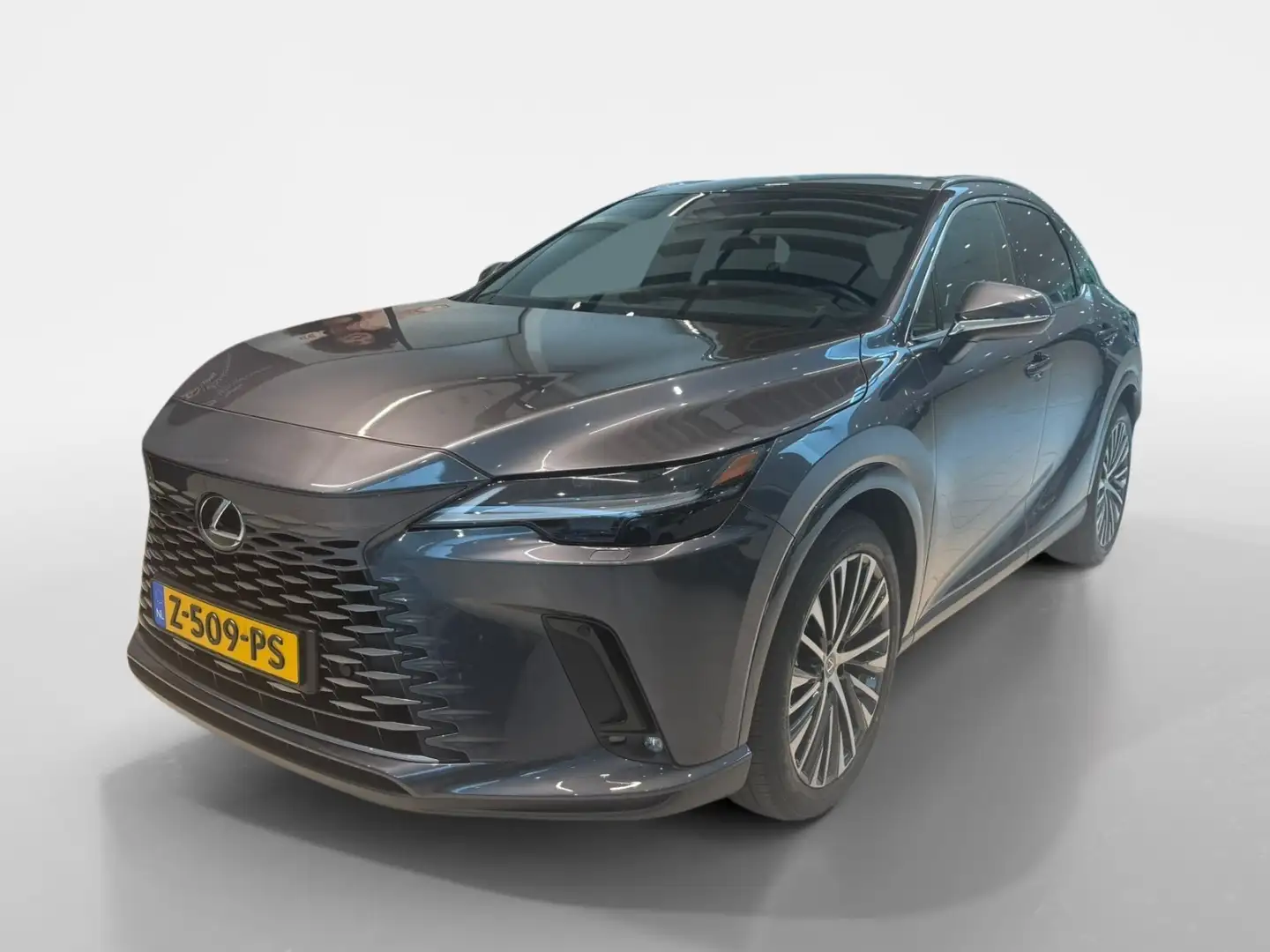 Lexus RX 450h 450h+ Plug-in Hybrid Luxury Line | volleder | Stoe Grijs - 1