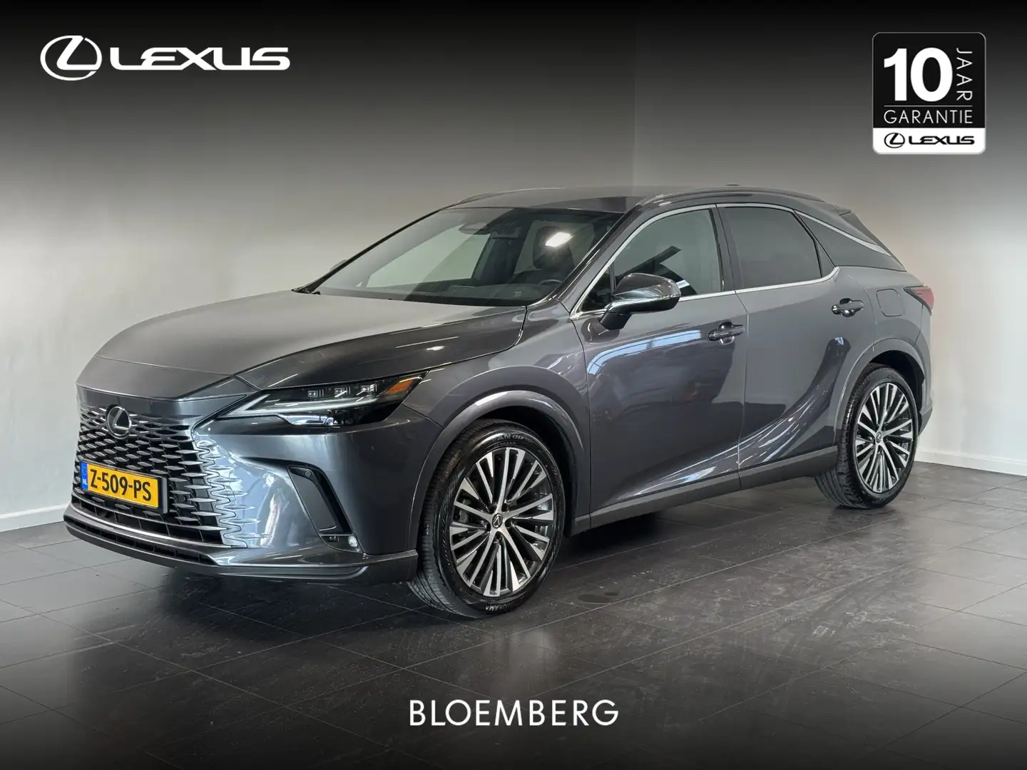 Lexus RX 450h 450h+ Plug-in Hybrid Luxury Line | volleder | Stoe Grijs - 1