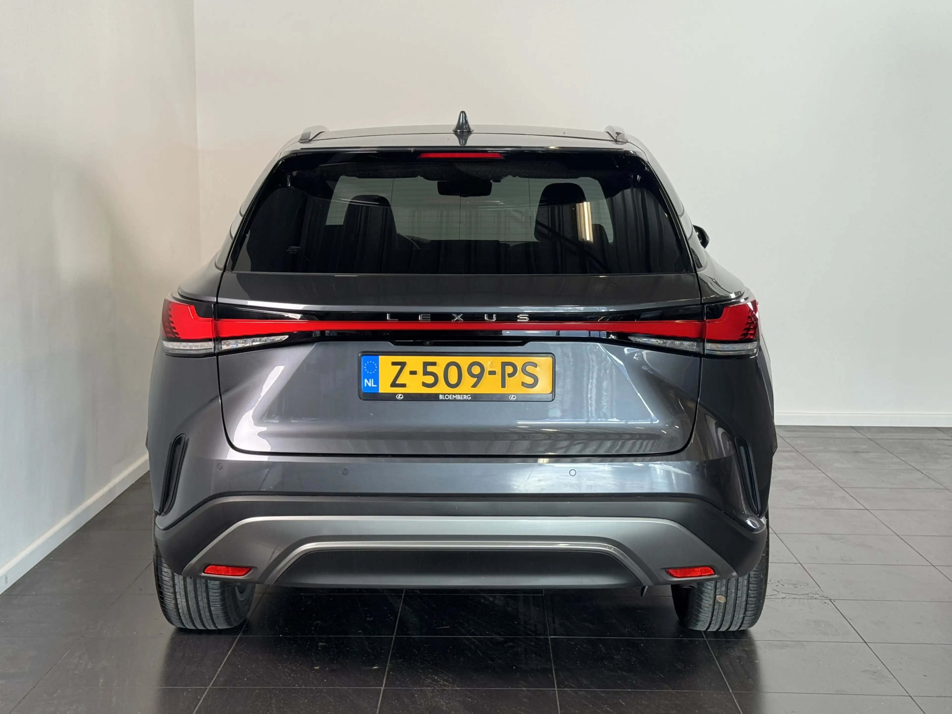 Lexus RX 450h 450h+ Plug-in Hybrid Luxury Line | volleder | Stoe — photo 4