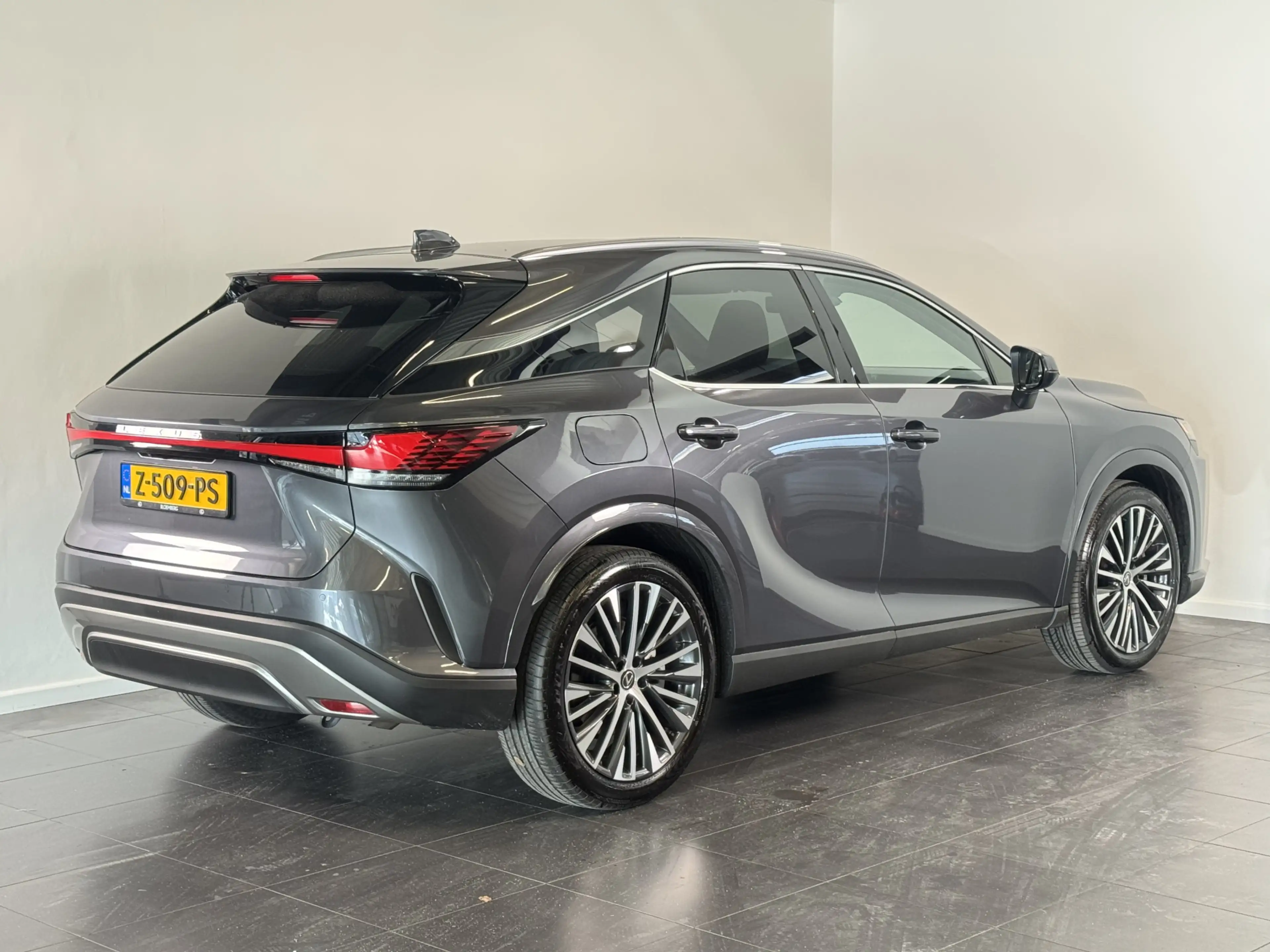 Lexus RX 450h 450h+ Plug-in Hybrid Luxury Line | volleder | Stoe — photo 3