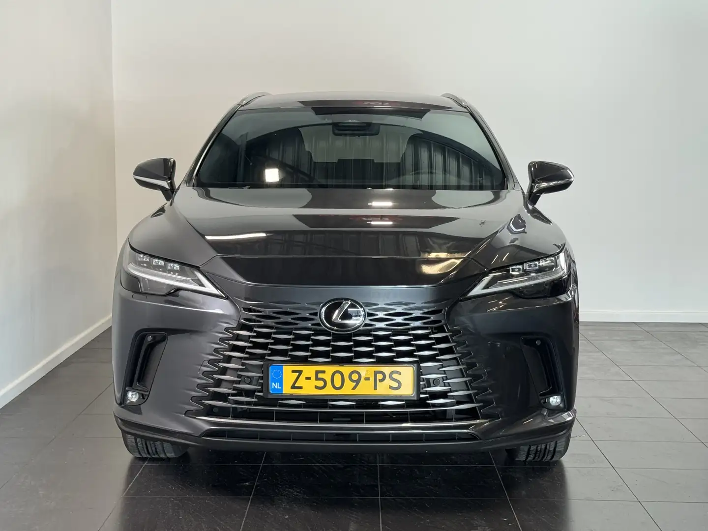 Lexus RX 450h 450h+ Plug-in Hybrid Luxury Line | volleder | Stoe Grijs - 2