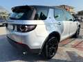 Land Rover Discovery Sport Discovery Sport 2.0 TD4 180 CV Auto Business Ed.Pr Grijs - thumbnail 6