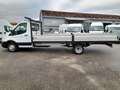 Ford Transit 350 2.0 TDCI 170CV TREND L5 RWD RUOTE GEMELLATE Bianco - thumbnail 1