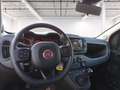 Fiat Panda 1.0 firefly hybrid Cross s&s 70cv 5p.ti Rosso - thumbnail 13